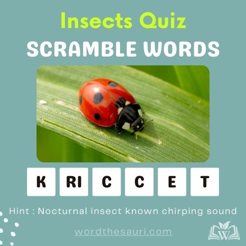 Insects Quiz - Word scramble | WordThesauri