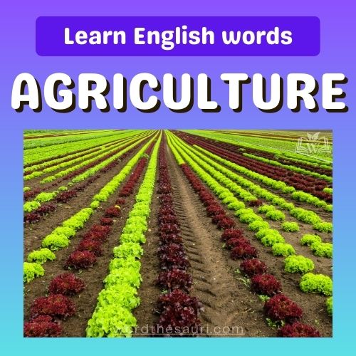 Words Related To Agriculture