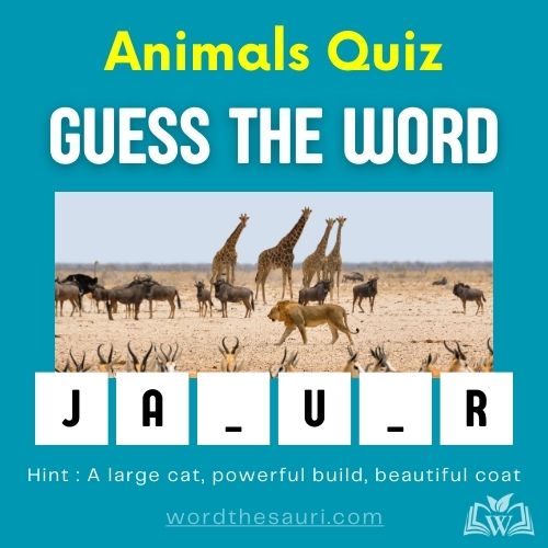 Guess the word Animals