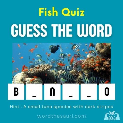 Guess the word Fish