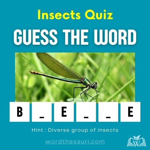 Guess the word Insects