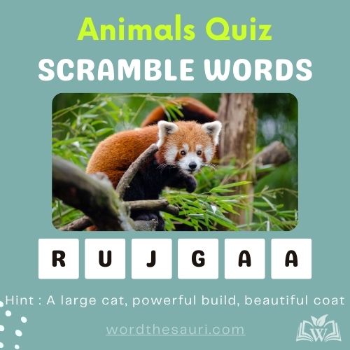 word-scramble-Animals-quiz