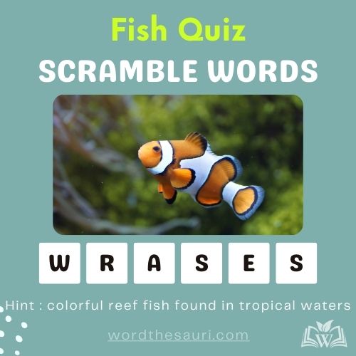 Guess the scramble words Fish