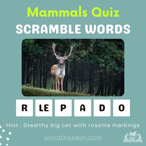 Guess the scramble words Mammals
