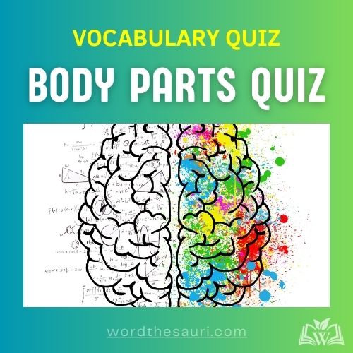 Body Parts Quiz