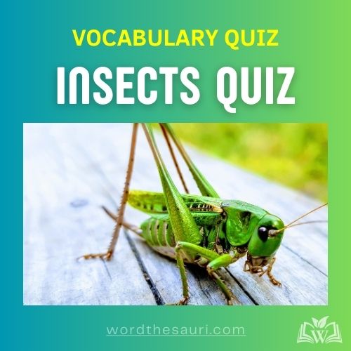 Insects Quiz