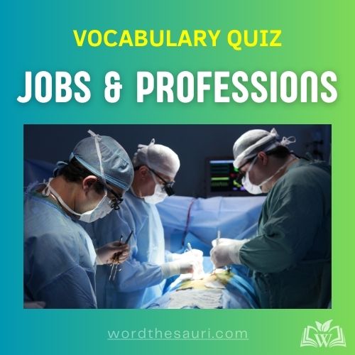 Jobs and professions Quiz