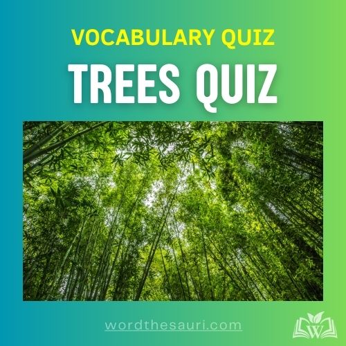 Trees Quiz