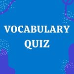 Vocabulary Quiz